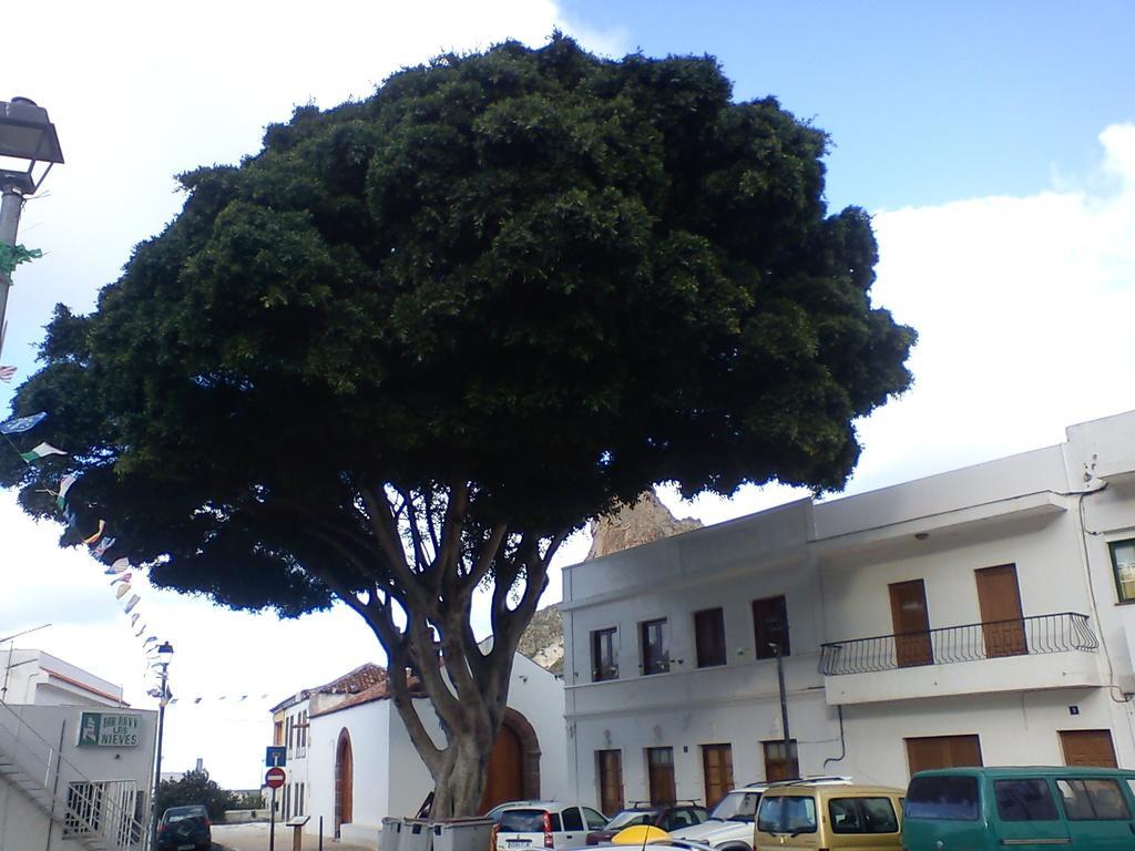 Casa Campo Y Playa Taganana Villa Eksteriør bilde